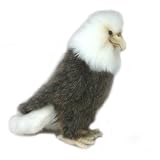 Perched Eagle Sm 9