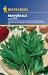 Maggikraut Liebstöckel, mehrjährig