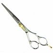 Stainless Steel Ergonomic Shear 6"