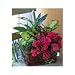 Send Flowers - Azalea Attraction Garden Basket