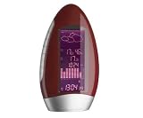 Red Lava Weather Station