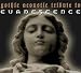 A Gothic Acoustic Tribute to Evanescence