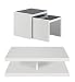 Autograph Renzo Coffee Table Nest of Tables Set