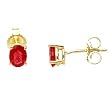 14K Yellow Gold Ruby Earrings