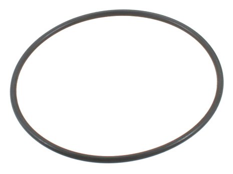 Ishino Thermostat O-Ring