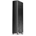 Floorstanding Loudspeaker