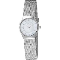 Skagen Women's Stainless Steel Watch #233XSSS