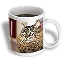 Cats - Maine Coon - Mugs