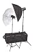 320 Watt Flash Light with Softbox and Umbrella