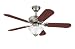 Westinghouse 7877365 Richboro SE 42 Inch Ceiling Fan, Brushed Nickel Finish