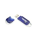 ByteStor 4GB USB  High Speed "Dataferry" Flash Drive