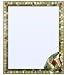 30W X 36H Jadestone Angel Fish Custom Framed Wall Mirror