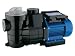 1 HP Swimming Pool - Spa 2-1/2" Water Pump with Filter