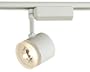 Lightolier Glass Cylinder White Track Head