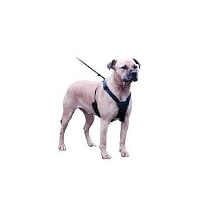 Non Pull Harness - Stop Your Dog Pulling - Small (Jack Russel, Cairn etc.) - Black