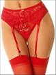 Shimmer Lace Garter Belt Plus