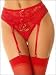 Shimmer Lace Garter Belt