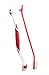 Pet Toothbrush for Cats and Dogs With A Comfortable Ergonomic Easy To Hold Non-Slip Handle- 2 Dual-Headed Dog Toothbrush is Veterinarian Recommended - Use With Dog Toothpaste