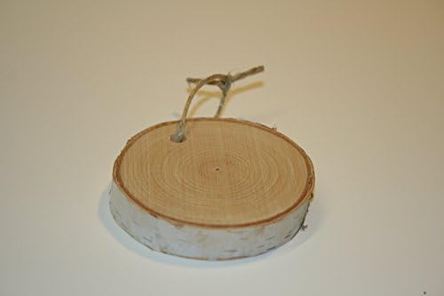 Wilson White Birch Coaster Ornament (Set of 8)