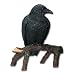 Raven - Collectible Figurine Statue Sculpture Figure Crow Bird Model