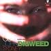 Global Underground 6: John Digweed Live In Sydney