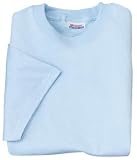 Hanes Heavyweight 50/50 - 50/50 Cotton/Poly T-ShirtLight Blue-M