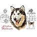 Alaskan Malamute Adult T-Shirt