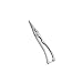 Kitchen & Housewares : Lobster Shears