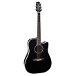 Takamine EG341SC Dreadnought Acoustic-Electric Guitar, Gloss Black