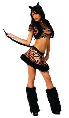 Fairy Feline Sexy Costume