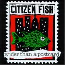 CD-Charts  Music : Wider Than a Postcard