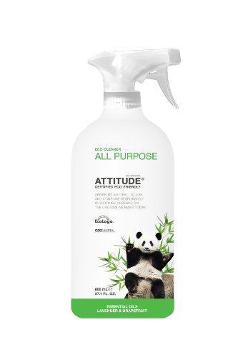Attitude 