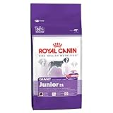 Royal Canin GAINT Junior 31 - 15 kg