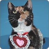 Sweetheart Cat Costume Outfit Size Large