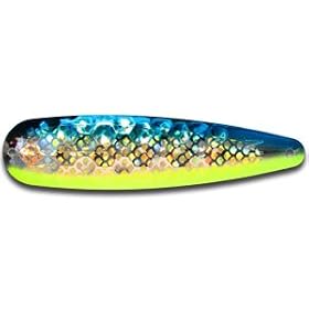 Warrior Lures Gold Holo-Blue Dolphin standard or magnum fishing trolling spoon