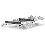 Thule 91725 Flat Top Ski Carrier