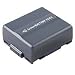 Lithium Ion Camcorder Battery For Hitachi DZ-HS300A