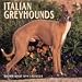 Italian Greyhounds Calendar