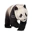 Wallmonkeys Peel and Stick Wall Decals - Giant Panda (18 Months) - Ailuropoda Melanoleuca - Removable Graphic