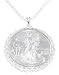 31K3JhWOjoL. SL75  4 2012 AMERICAN EAGLE FOUR ONE OUNCE SILVER COIN FROM MINT ROLL BU NOW IN STOCK