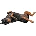 rottweiler4 - Sandicast Rottweiler Original Size Figurine Back Pose
