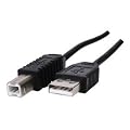 USB cable Lead Wire Cord C6518A for ALL HP Hewlett Packard, Epson Stylus, Brother, Canon Pixma, Lexmark, Scanjet, OfficeJet, Inkjet, Picturemate, Photosmart, Laserjet, Deskjet All in One 1 Monolaser Scanjet Laser Digital Sender Printer etc etc