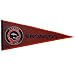 Denver Broncos NFL Pigskin Pennant