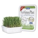 CatGrass Plus - Water only once