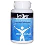Eco Clear - Body Ecology's Parasite Cleanse