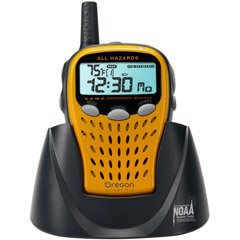 Electronics: Oregon Scientific WR 113