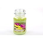 Pineapple Cilantro Yankee Candle - Large