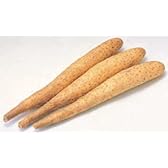 Verger 青森産 農家の長芋＜５キロ＞【限定２０箱】