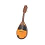 Bowl Back Mandolin