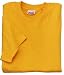 NEW Hanes Beefy-T - Born To Be Worn 100% Cotton T-Shirt Gold-3XL